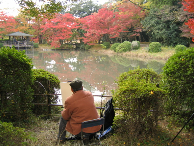 京都府立　植物園　画像1