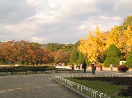 京都　北山　植物園　画像2